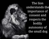 the_lion_understands_consent