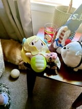 SABG_Plushies[sound=files.catbox.moe%2F6zgeus.mp3]