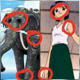 kuina