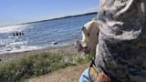 JASHINCHAN &amp; BEACH