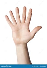 1731438499294542