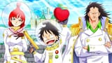 luffy cd