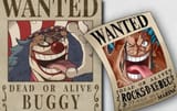 buggy rocks