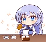 Chino(572)