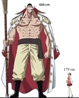 accurate size difference