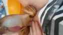 Snailjob copy copy copy_thumb.jpg