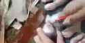 lejoker copy copy copy_thumb.jpg