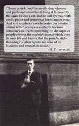 HP Lovecraft on cats