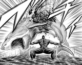 fuck sharks