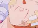 videlfeed_thumb.jpg