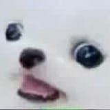 1456316360067