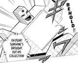 Sunchine_brought_out_his_collection_crop