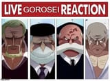 live gorosei reaction