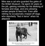 Mike_the_cat