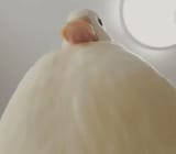 1540316602157