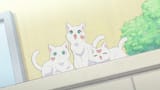 Me.and.the.Alien.MuMu.S01E16.MuMu.and.the.Action.Camera.1080p.AMZN.WEB-DL.JPN.DDP2.0.H.264.ESub-ToonsHub.mkv_snapshot_00.17.35_[2025.07.23_21.24.37]26