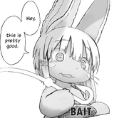Bait