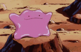 ditto-pokemon