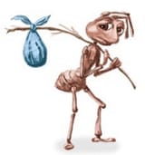 homeless-ant