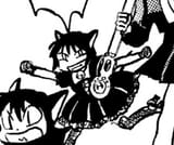 look at this cat