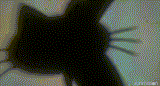 1676762316240240
