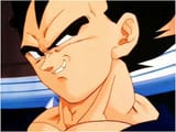smug vegetable