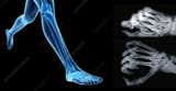 the_standing_hand