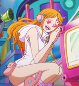 nami (9)