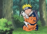 naruto rabbit