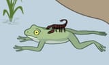 scorpion and the frog