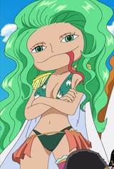 Boa_Sandersonia