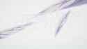 Mobile Suit Gundam Wing 30Th Anniversary Video -Operation 30Th-(1)_thumb.jpg