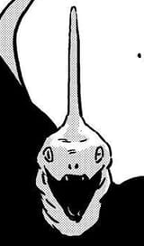 bragon