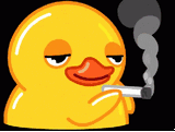 1733374271596884