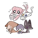 6