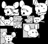 rat