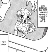 Comedy Mangaka