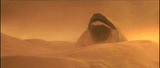 shai_hulud