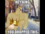 doge