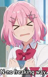 Muri XI
