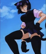 anime cat
