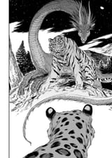 The Tiger does not eat the Dragon009