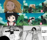 parallels