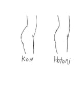 kon hotori