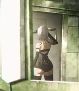 Nier_ass