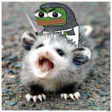 opossum knight