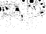 1268934475131