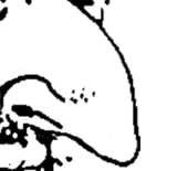 1722167821132