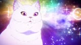 neko
