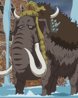 Jack%27s_Mammoth_Form